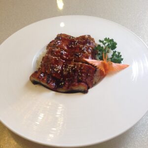 035. Unagi don